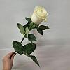 Купить цветы в магазине в городе Киселёвск